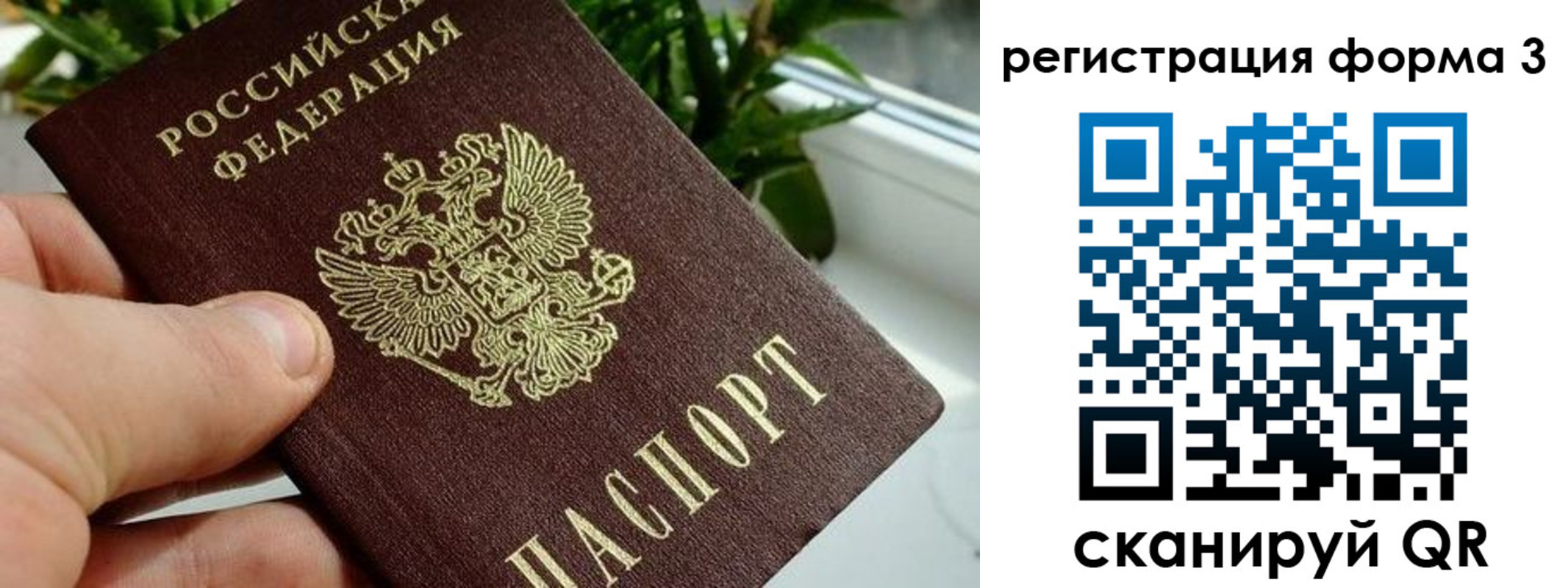 прописка штамп в Алексине